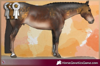 Horse Color:Buckskin Sabino Rabicano  and Liver Chestnut Sabino Rabicano 