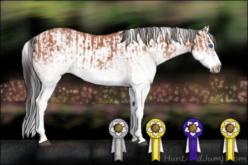 Horse Color:White Spotted Bay Splash  and White Spotted Bay Splash Frame 