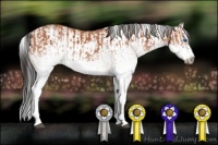 Horse Color:White Spotted Bay Splash  and White Spotted Bay Splash Frame 