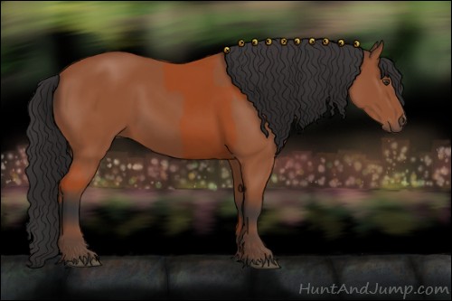 Horse Color:Bay Sabino Rabicano  and Bay Sabino Rabicano 