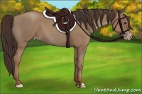 Horse Color:Classic Champagne  and Classic Champagne 