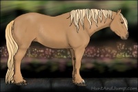 Horse Color:Chestnut Rabicano