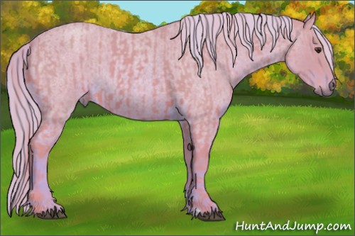Horse Color:Watercolor Chestnut and Watercolor Red Roan