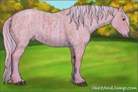 Horse Color:Watercolor Chestnut and Watercolor Red Roan