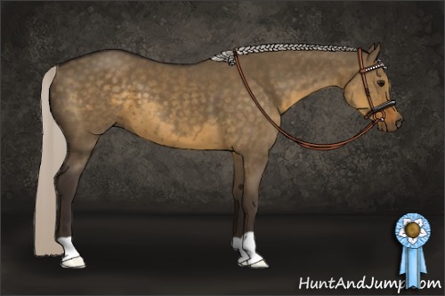 Horse Color:Silver Smoky Grullo 