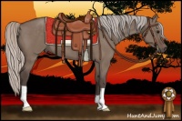 Horse Color:Silver Grullo 