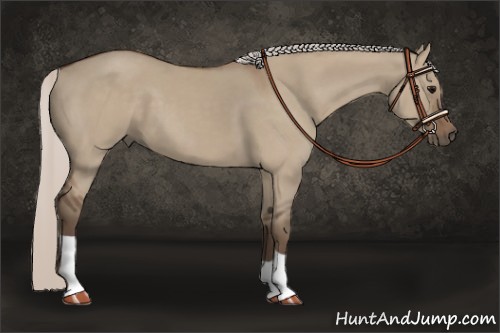 Horse Color:Silver Grullo 