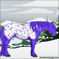 Horse Color:Watercolor Black Appaloosa 