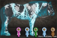 Horse Color:Thunderstruck Black Ice 