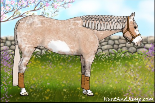 Horse Color:Silver Bay Ice Roan Frame 