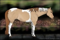 Horse Color:Red Dun Tobiano Rabicano 