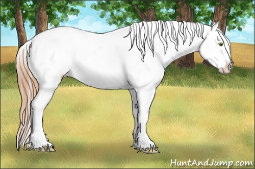 Horse Color:Gold Champagne Dun Near Leopard and Gold Champagne Dun Frame Near Leopard