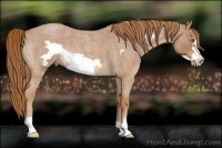 Horse Color:Red Roan Frame 