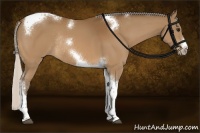 Horse Color:Silver Buckskin Tobiano Frame Rabicano