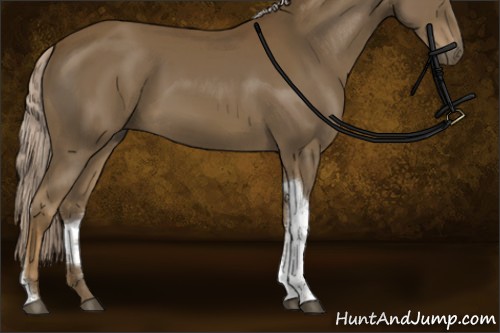 Horse Color:Chocolate Palomino Tobiano Rabicano 