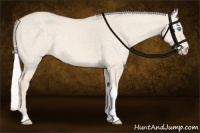 Horse Color:Silver Perlino Dun Tobiano Rabicano 