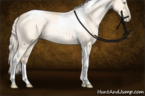 Horse Color:Silver Buckskin Roan Pearl Tobiano Rabicano 