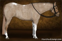 Horse Color:Chocolate Palomino Roan Tobiano Rabicano