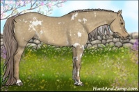 Horse Color:White Spotted Chocolate Palomino Dun 