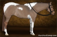 Horse Color:Liver Red Dun Tobiano Rabicano 