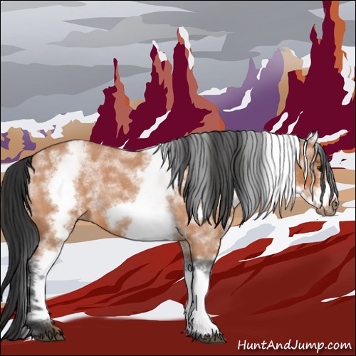 Horse Color:White Spotted Bay Roan Frame 
