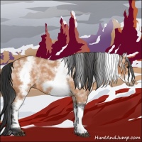 Horse Color:White Spotted Bay Roan Frame