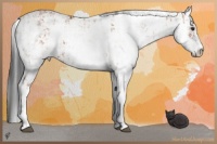 Horse Color:Bay Sabino Rabicano  and Bay Sabino Rabicano 
