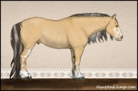 Horse Color:Silver Buckskin Dun Tobiano Rabicano  and Buckskin Dun Sabino Rabicano 