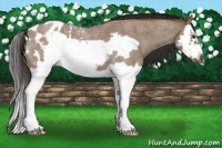 Horse Color:Gray Liver Red Dun Roan Splash Frame Blanket 