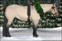 Horse Color:Bay Roan Dun 