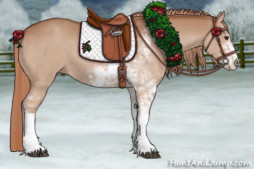 Horse Color:Chestnut Sabino 