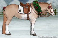 Horse Color:Chestnut Sabino