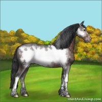 Horse Color:Brown Ice Frame 