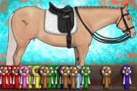 Horse Color:Silver Sable Champagne Rabicano 