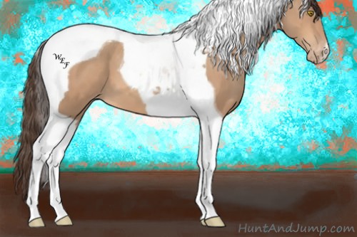 Horse Color:Amber Champagne Tobiano Varnish 