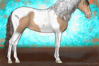 Horse Color:Amber Champagne Tobiano Varnish 