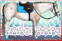 Horse Color:White Spotted Amber Champagne 