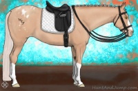 Horse Color:Silver Amber Champagne Appaloosa