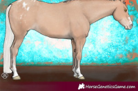 Horse Color:Silver Amber Champagne Varnish 