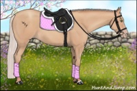Horse Color:Silver Classic Champagne