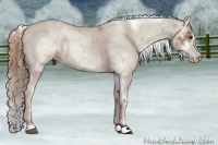 Horse Color:Chestnut Sabino