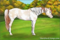 Horse Color:White Spotted Sable Cream Champagne Pearl 
