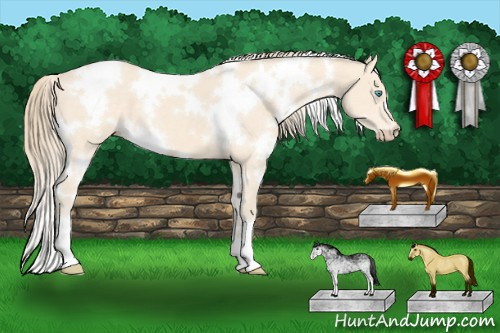 Horse Color:White Spotted Perlino