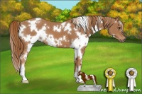 Horse Color:White Spotted Chestnut