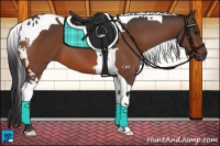 Horse Color:Brown Tobiano