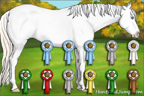 Horse Color:White Spotted Perlino Appaloosa 