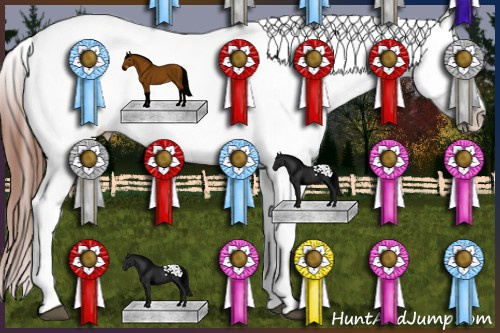 Horse Color:White Spotted Bay Appaloosa 