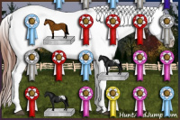 Horse Color:White Spotted Bay Blanket 