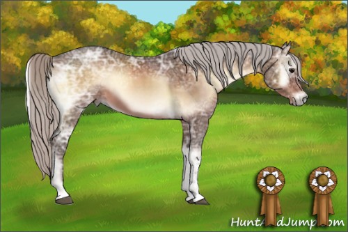 Horse Color:Silver Bay Ice Onyx 
