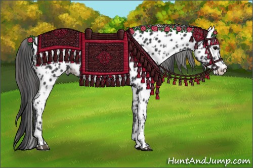 Horse Color:Black Appaloosa  and Black Appaloosa 